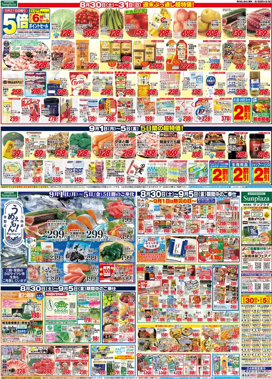 サンプラザ チラシ