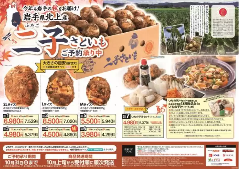 ビッグハウス チラシ