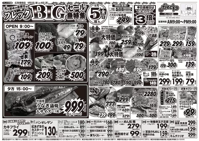 川崎市でのフレック九条のカタログ | フレックＢＩＧセール | 2025-09-05T00:00:00.000Z - 2025-09-05T00:00:00.000Z