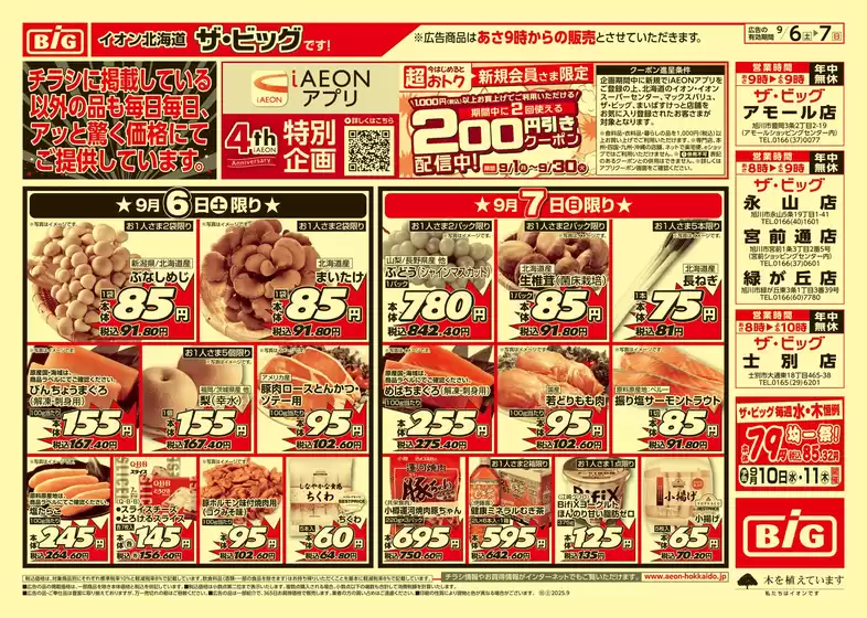 排他的な掘り出し物