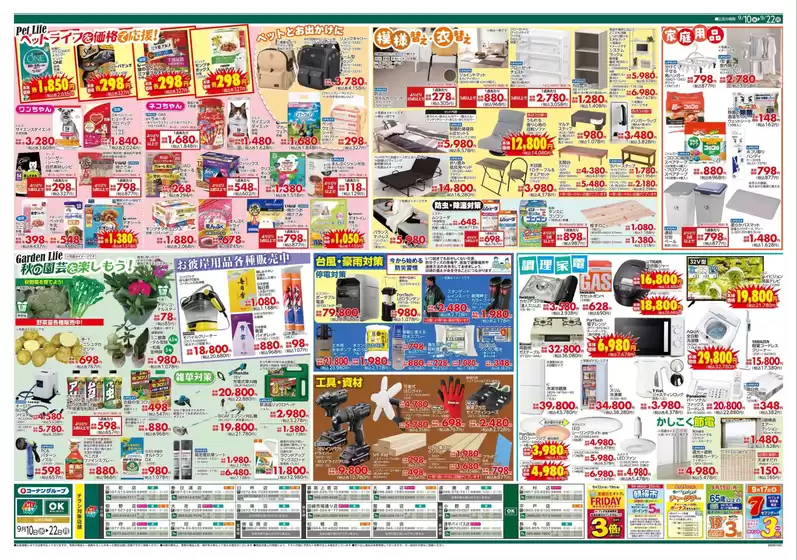 排他的な掘り出し物