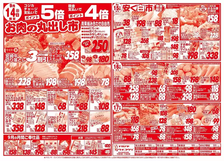 うめこうじ・永野屋 チラシ