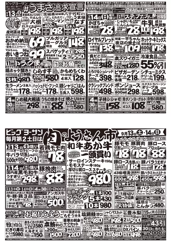 広島市でのビッグヨーサンのカタログ | 排他的な掘り出し物 | 2025-09-12T00:00:00.000Z - 2025-09-15T00:00:00.000Z
