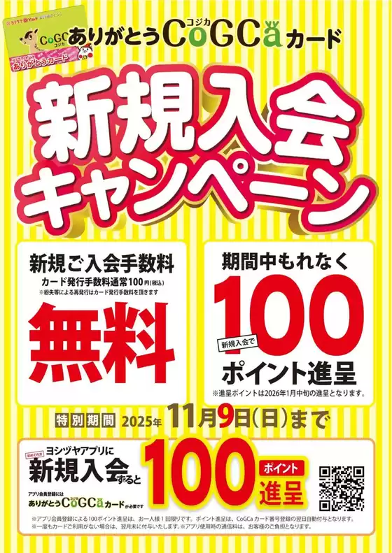 横浜市でのヨシヅヤのカタログ | 現在の掘り出し物とオファー | 2025-09-13T00:00:00.000Z - 2025-11-09T00:00:00.000Z