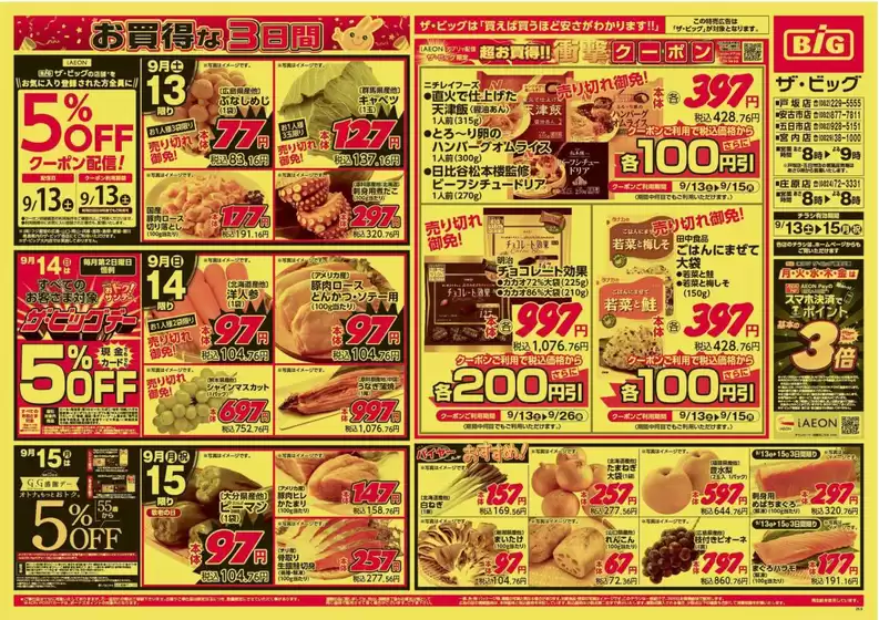 さいたま市でのザ・ビッグのカタログ | 私たちのお客様のための排他的な取引 | 2025-09-13T00:00:00.000Z - 2025-09-15T00:00:00.000Z