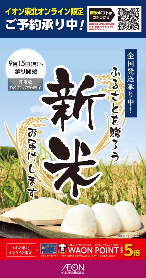 排他的な掘り出し物
