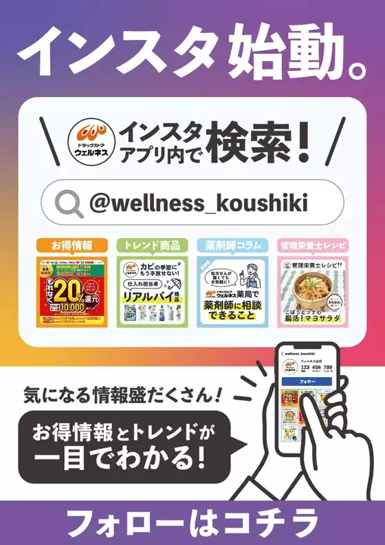 ウェルネス インスタ始動