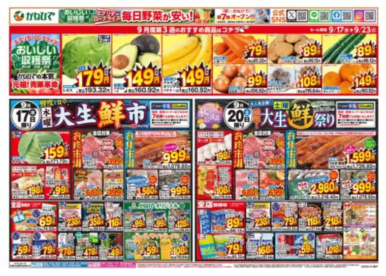 横浜市でのタウンプラザかねひでのカタログ | タウンプラザかねひで チラシ | 2025-09-17T00:00:00.000Z - 2025-09-20T00:00:00.000Z