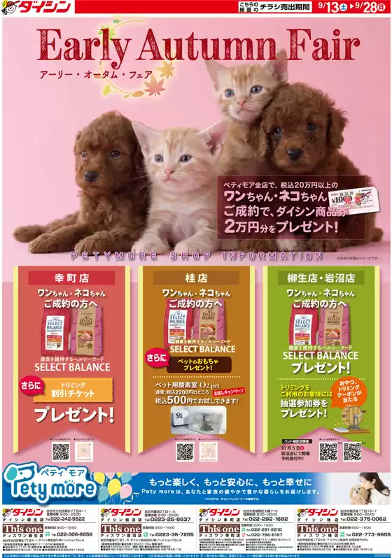 ダイシン チラシ