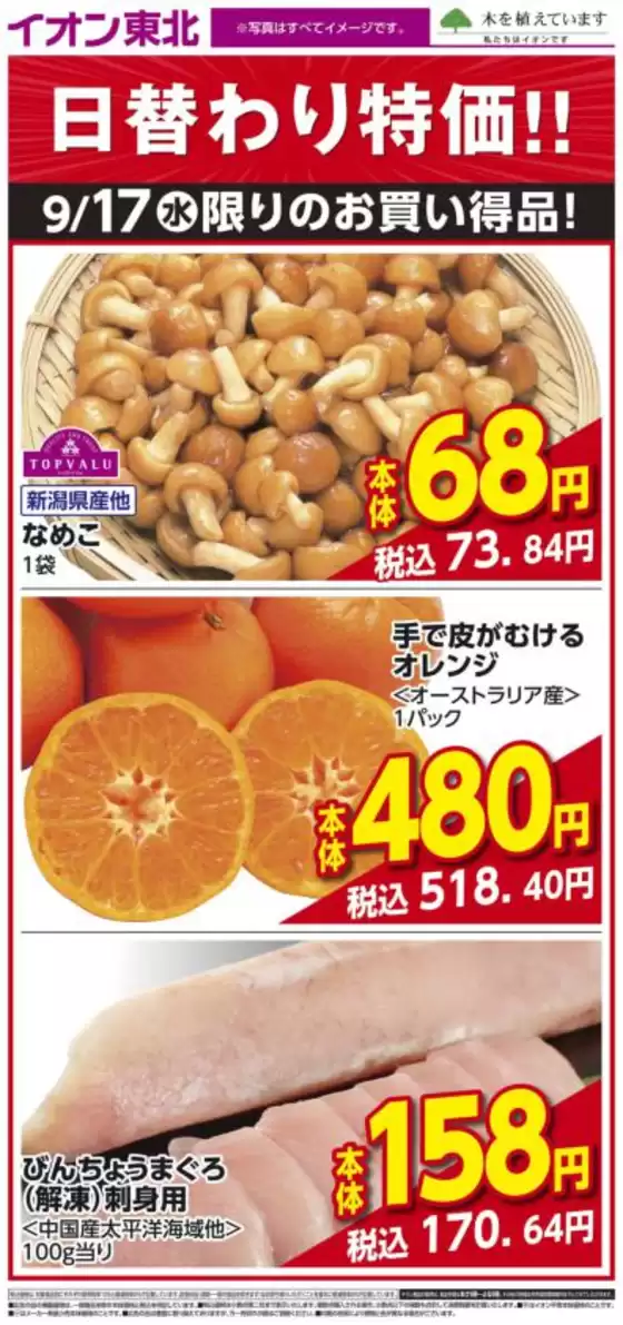 仙台市でのイオンのカタログ | あなたのための特別オファー | 2025-09-17T00:00:00.000Z - 2025-09-17T00:00:00.000Z