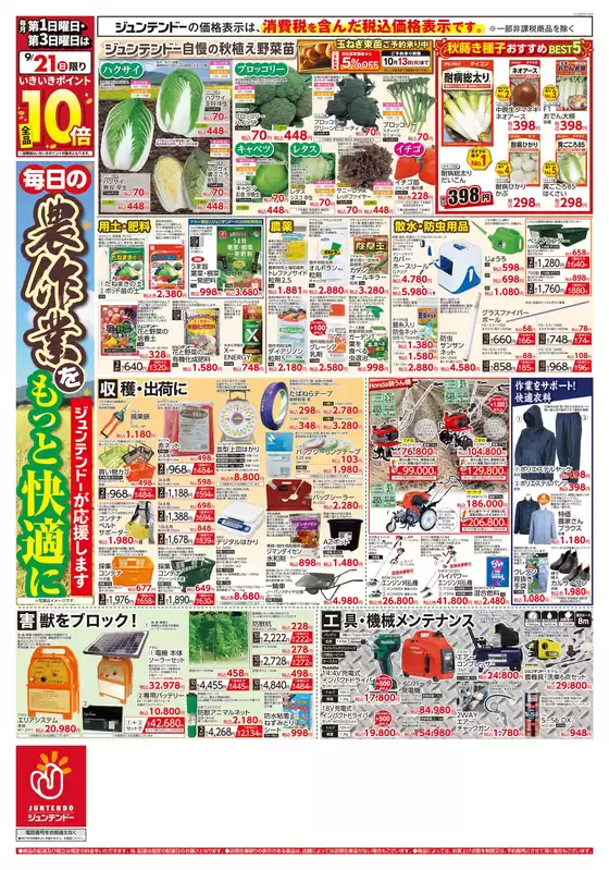 排他的な掘り出し物