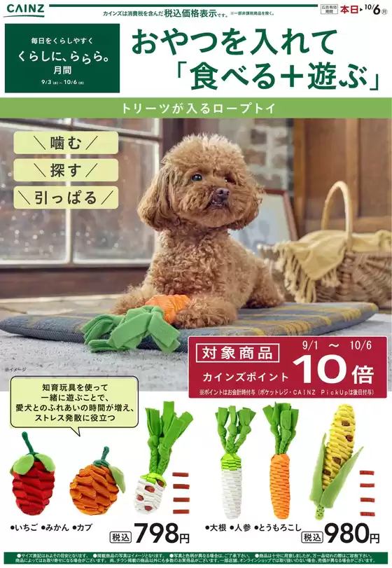 南相馬市でのカインズホームのカタログ | 豊富なオファーの選択 | 2025-09-24T00:00:00.000Z - 2025-09-30T00:00:00.000Z