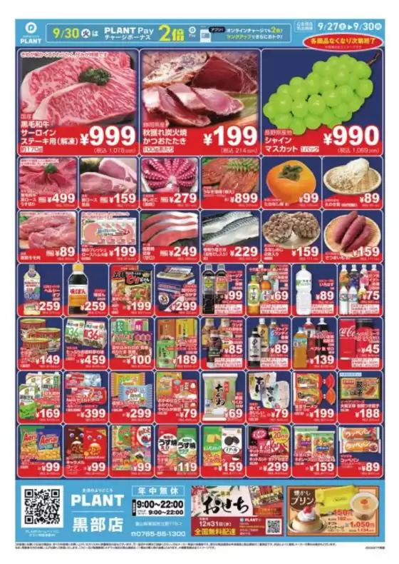胆沢郡でのスーパーセンタープラントのカタログ | 排他的な掘り出し物 | 2025-09-27T00:00:00.000Z - 2025-09-30T00:00:00.000Z