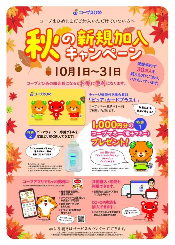 現在の特別プロモーション