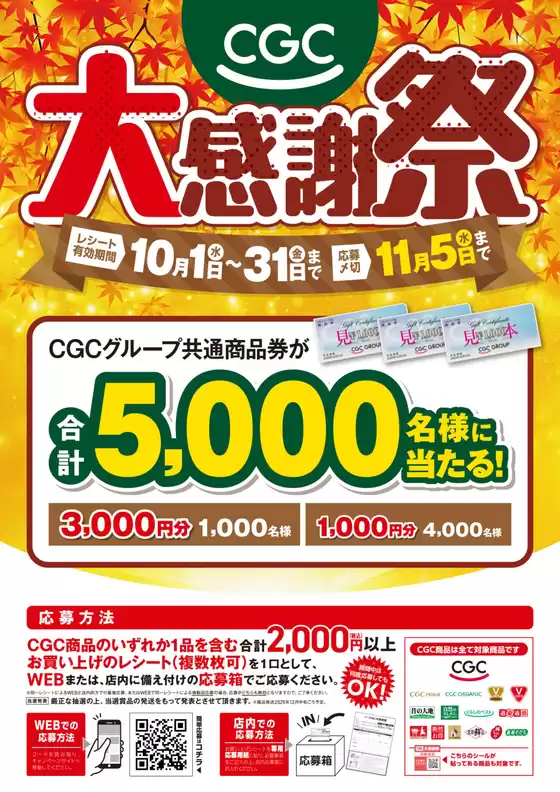 あなたのための私たちの最高の取引