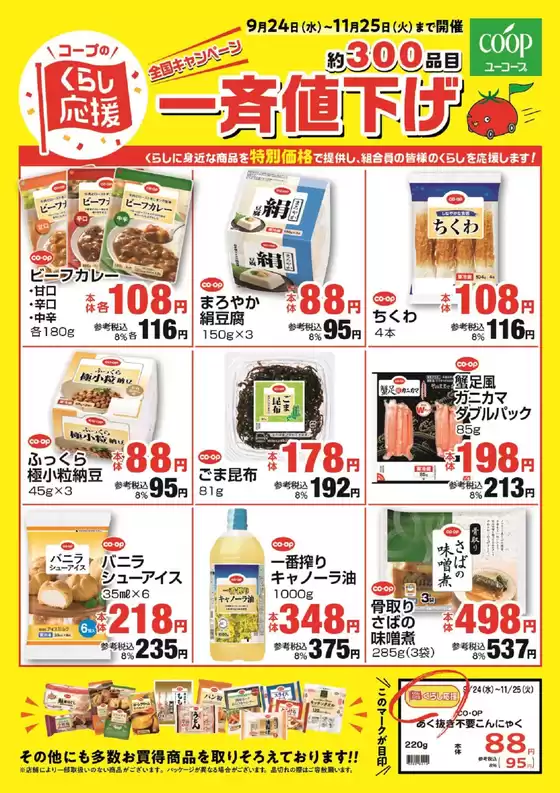 フィール チラシ