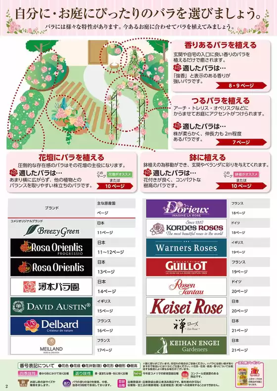 バラ苗予約販売