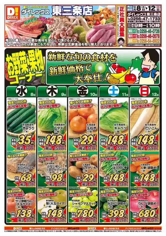 ふじみ野市でのダイレックスのカタログ | 私たちの最高の掘り出し物 | 2025-10-08T00:00:00.000Z - 2025-10-12T00:00:00.000Z
