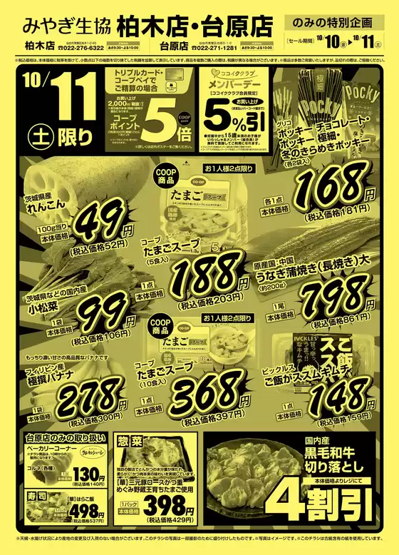 町田市でのみやぎ生活協同組合のカタログ | あなたのための特別オファー | 2025-10-10T00:00:00.000Z - 2025-10-11T00:00:00.000Z