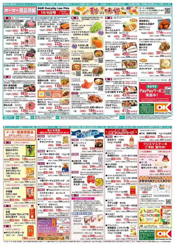オーケーストア チラシ