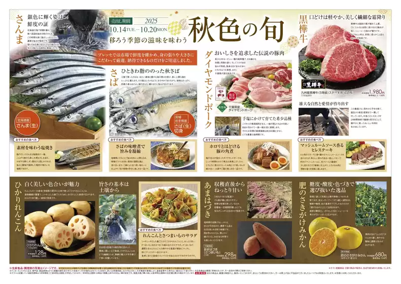 あなたのための私たちの最高の取引