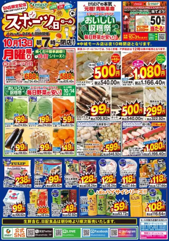 タウンプラザかねひで チラシ