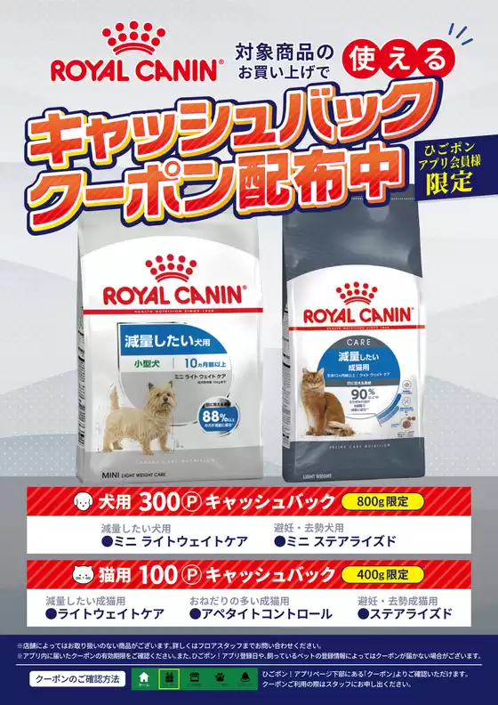 札幌市でのひごペットフレンドリーのカタログ | 発見するための新しいオファー | 2025-10-17T00:00:00.000Z - 2025-10-31T00:00:00.000Z