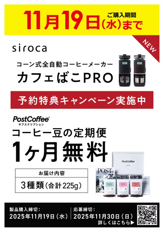 ビックカメラ チラシ