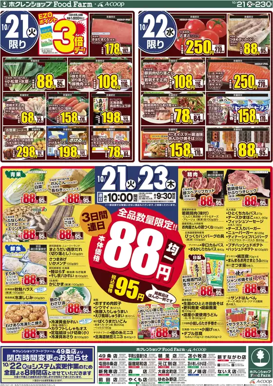 ホクレンショップ チラシ