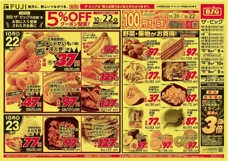 町田市でのザ・ビッグのカタログ | 現在の取引とオファー | 2025-10-22T00:00:00.000Z - 2025-10-23T00:00:00.000Z
