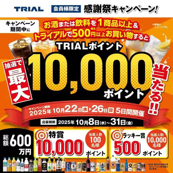 トライアル 最新チラシ