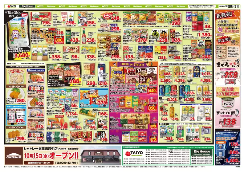 ベストリカー チラシ