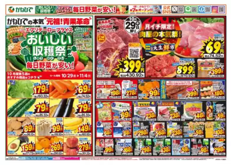 タウンプラザかねひで チラシ