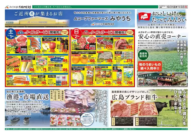 私たちの最高の掘り出し物