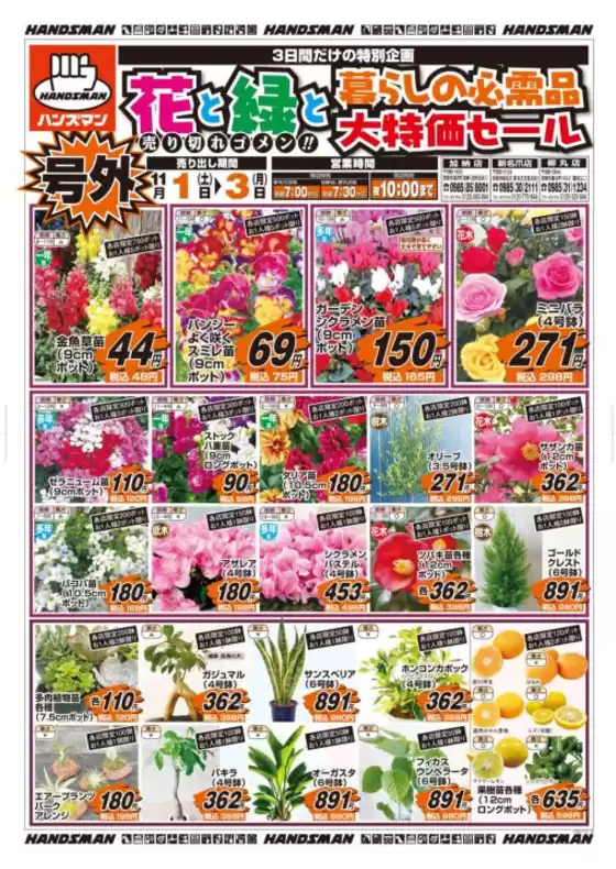 福岡市でのハンズマンのカタログ | 現在の取引とオファー | 2025-10-31T00:00:00.000Z - 2025-11-03T00:00:00.000Z