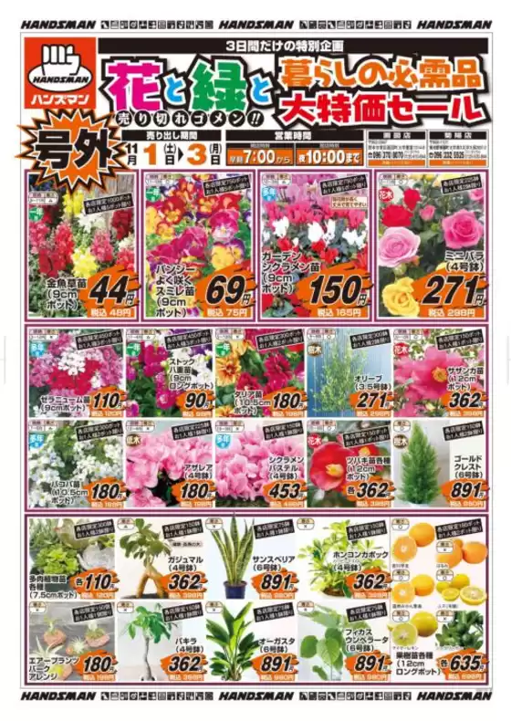 福岡市でのハンズマンのカタログ | 割引とプロモーション | 2025-10-31T00:00:00.000Z - 2025-11-03T00:00:00.000Z