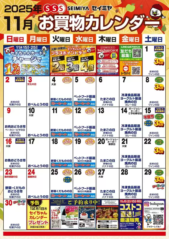 排他的な掘り出し物