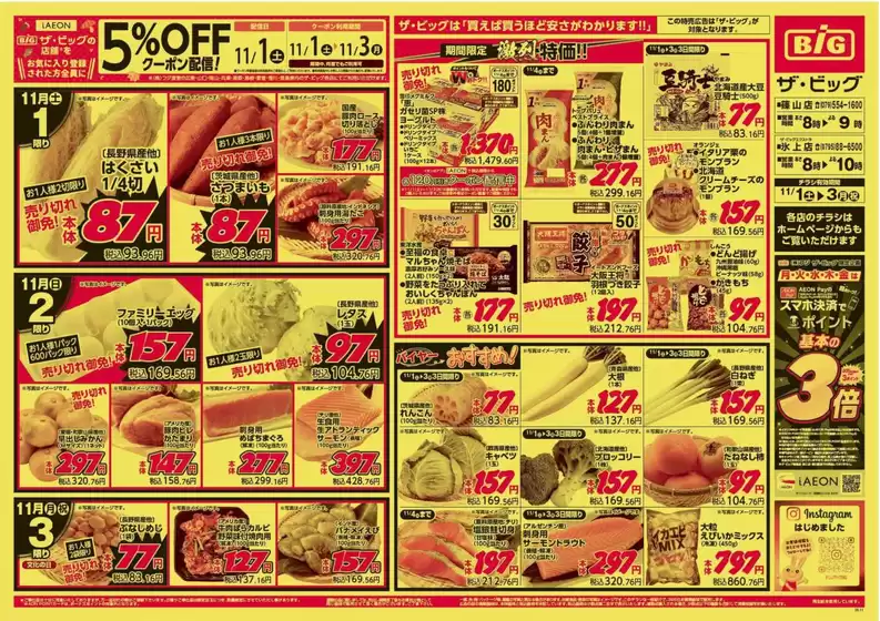 大崎市でのザ・ビッグのカタログ | 倹約家のためのトップオファー | 2025-11-01T00:00:00.000Z - 2025-11-03T00:00:00.000Z