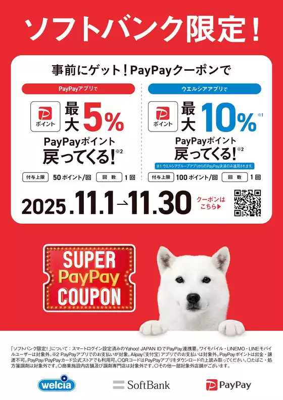 品川区でのマルエドラッグのカタログ | SoftBankユーザー限定!おトクなPayPayキャンペーン♪ | 2025-10-31T00:00:00.000Z - 2025-11-30T00:00:00.000Z