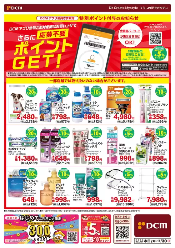 排他的な掘り出し物