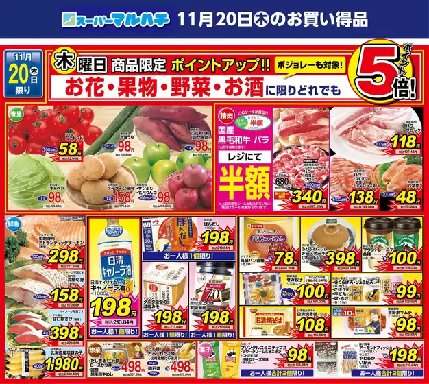 斜里郡でのマルハチのカタログ | 大久保店オープン２日目 | 2025-11-19T00:00:00.000Z - 2025-11-20T00:00:00.000Z