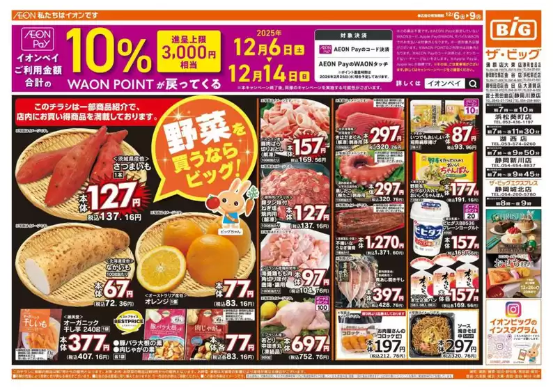 ザ・ビッグのカタログ | 割引とプロモーション | 2025-12-06T00:00:00.000Z - 2025-12-09T00:00:00.000Z