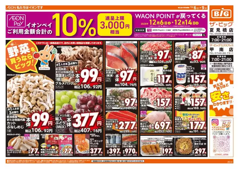 ザ・ビッグのカタログ | すべてのお客様のための素晴らしいオファー | 2025-12-06T00:00:00.000Z - 2025-12-09T00:00:00.000Z