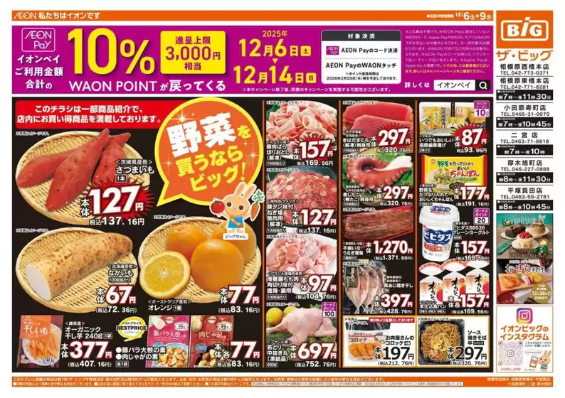 ザ・ビッグのカタログ | 私たちのお客様のための排他的な取引 | 2025-12-06T00:00:00.000Z - 2025-12-09T00:00:00.000Z