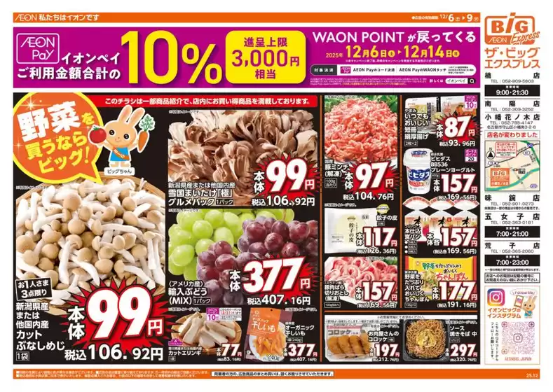 ザ・ビッグのカタログ | 魅力的なオファーを発見する | 2025-12-06T00:00:00.000Z - 2025-12-09T00:00:00.000Z