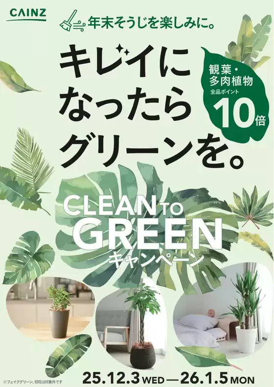 熊本市でのカインズホームのカタログ | 観葉植物ポイント10倍 12/7号 | 2025-12-06T00:00:00.000Z - 2025-12-13T00:00:00.000Z