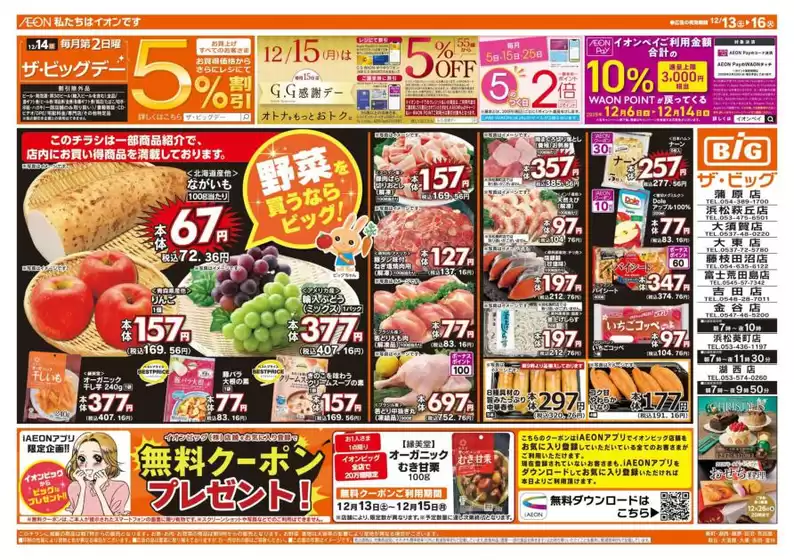 和泉市でのザ・ビッグのカタログ | 倹約家のためのトップオファー | 2025-12-13T00:00:00.000Z - 2025-12-16T00:00:00.000Z