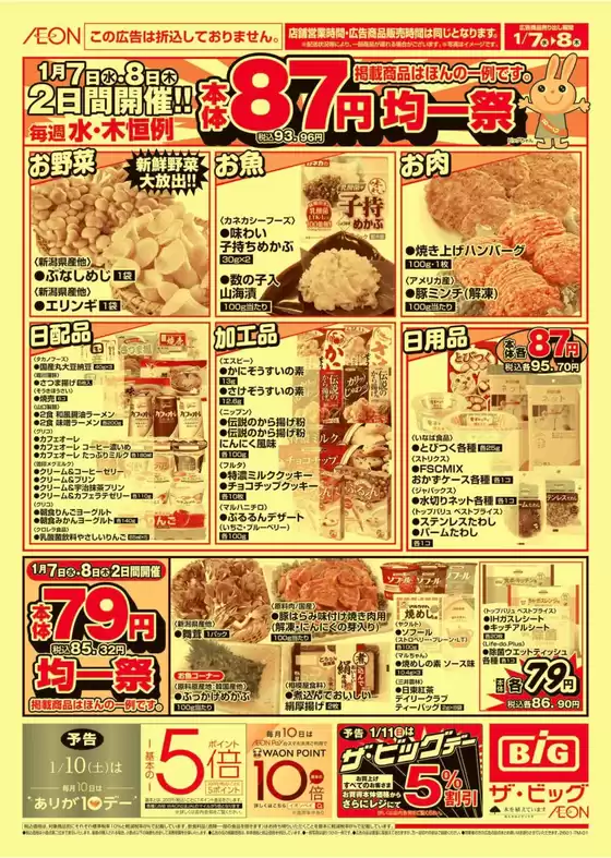 横浜市でのザ・ビッグのカタログ | ザ・ビッグ チラシ | 2026-01-07T00:00:00.000Z - 2026-01-08T00:00:00.000Z