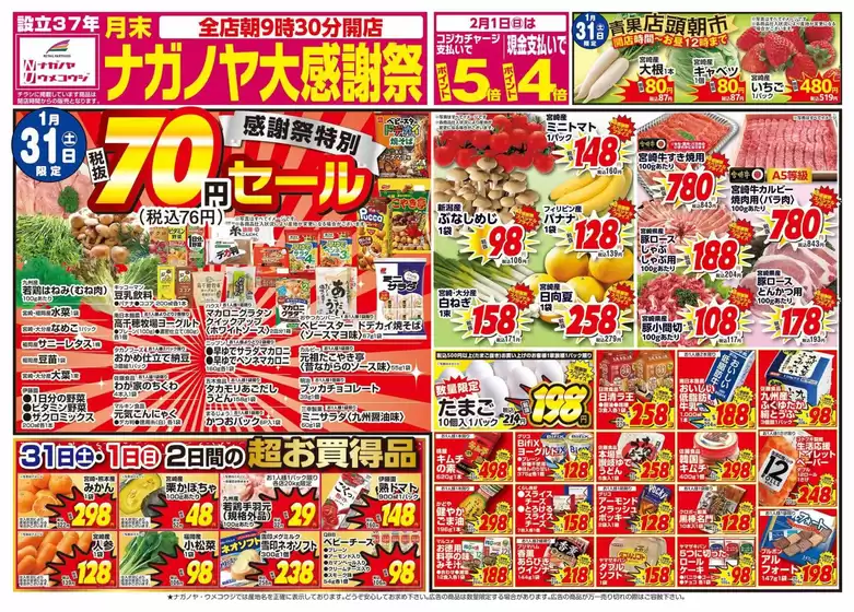 常総市でのNAGANOYAのカタログ | NAGANOYA チラシ | 2026-01-31T00:00:00.000Z - 2026-02-02T00:00:00.000Z