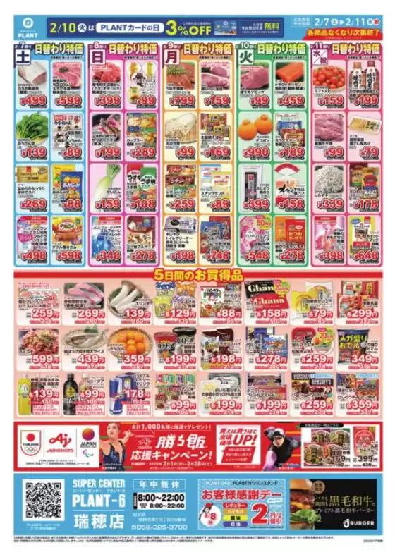 奈良市でのスーパーセンタープラントのカタログ | 排他的な掘り出し物 | 2026-02-07T00:00:00.000Z - 2026-02-11T00:00:00.000Z